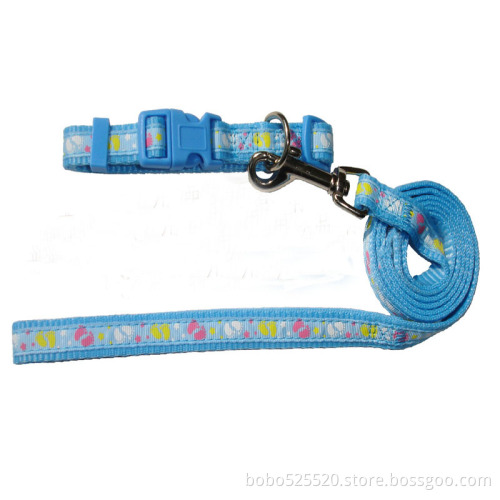 fashion pet collar and leash